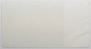 10 gold 1928 - color sample - iris subprint of the obverse