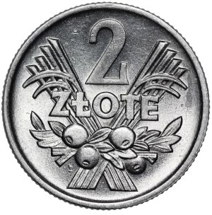 2 Gold Berries 1960