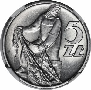 5 Goldfish 1958 - narrow eight