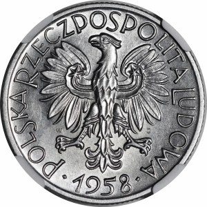 5 Goldfish 1958 - narrow eight