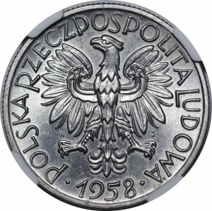 5 Goldfish 1958 - narrow eight
