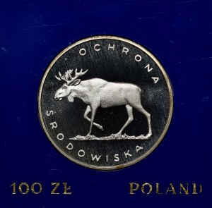 100 Gold Moose 1978
