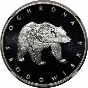 100 Gold Bear 1983
