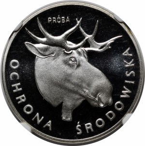 Sample 100 gold Moose Head 1978 - silver