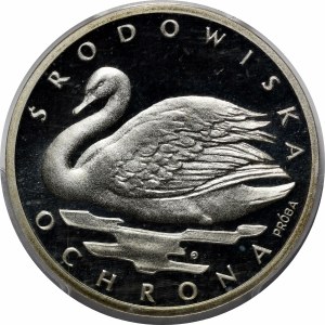 Sample 1000 gold Swan 1984 - silver