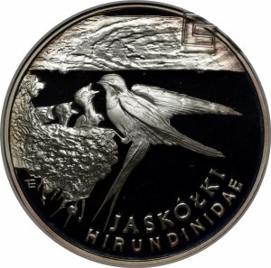 300000 Gold Swallows 1993