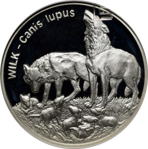20 Gold Wolves 1999