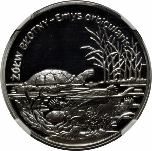 20 Gold Mud Turtle 2002