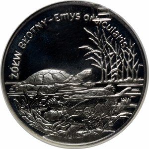 20 Gold Mud Turtle 2002