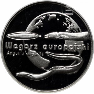 20 złotych Węgorz europiejski 2003