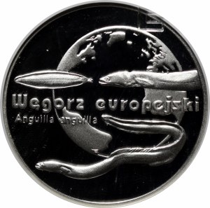 20 gold European eel 2003