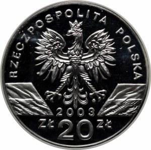 20 gold European eel 2003