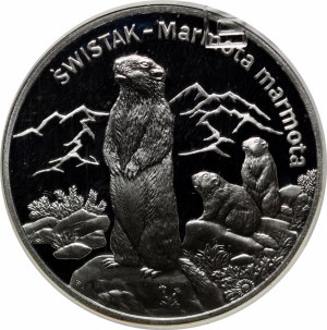 20 gold Swistak 2006