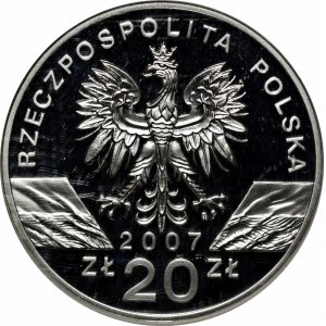 20 złotych Foka Szara 2007