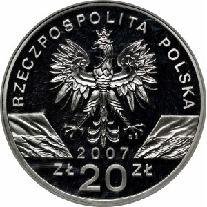 20 złotych Foka Szara 2007