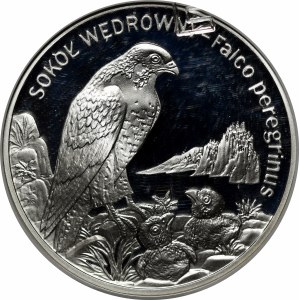 20 złotych Sokół Wędrowny 2008