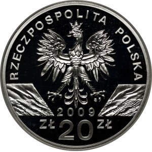 20 złotych Jaszczurka Zielona 2009