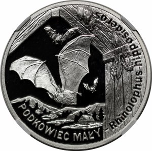 20 Gold Horseshoe 2010