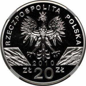 20 Gold Horseshoe 2010