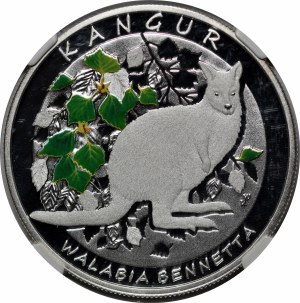 20 Gold Bennett's Wallabies 2013
