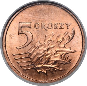 SAMPLE 5 pennies 2005 - bronze
