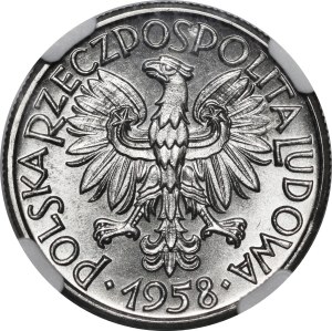 SAMPLE Nickel 50 pennies 1958 Ribbons