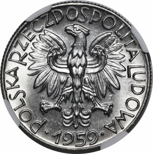 SAMPLE NIKIEL 5 gold 1959 Rybak