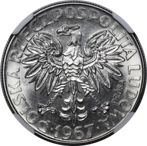 SAMPLE Nickel 10 gold 1967 Marie Skłodowska-Curie, head straight ahead