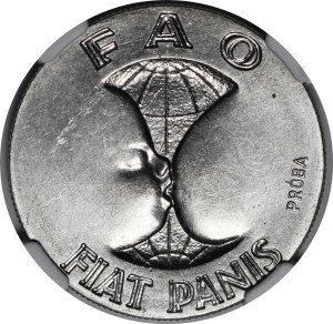 SAMPLE Nickel 10 gold 1971 FAO Fiat Panis
