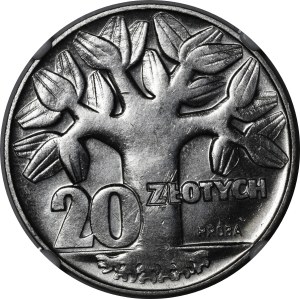 SAMPLE Nickel 20 gold 1964 Thick tree