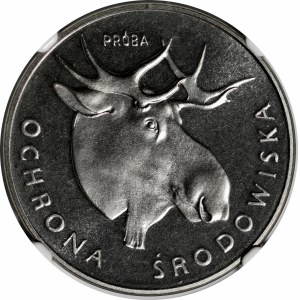 PRÓBA NIKIEL 100 złotych 1978 Ochrona Środowiska - Głowa Łosia