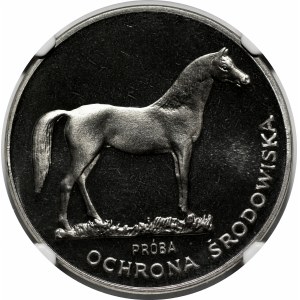 PRÓBA NIKIEL 100 złotych 1981 Ochrona Środowiska - Koń