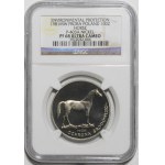 PRÓBA NIKIEL 100 złotych 1981 Ochrona Środowiska - Koń