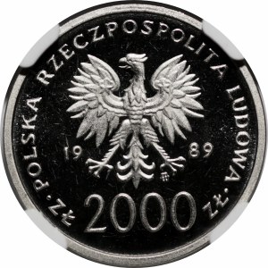 SAMPLE NIKIEL 2000 gold 1989 John Paul II - bust on the background of a grille