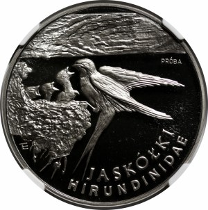 SAMPLE Nickel 300,000 1993 Swallows.