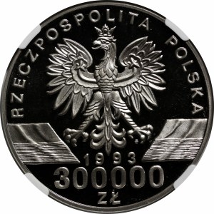 SAMPLE Nickel 300,000 1993 Swallows.