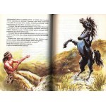 Szklarscy Alfred, Krystyna- Gold of the Black Mountains. Indian trilogy [illustrated by Bartłomiej Kuźnicki].