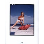 Andre De Dienes Marilyn [album raných fotografií Marilyn Monroe].