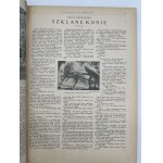 Tygodnik Ilustrowany [Yearbook 1925][Dabrowska, Iwaszkiewicz, Conrad, Kossak, Skoczylas, Malczewski].