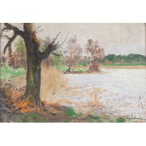 Michał Gorstkin Wywiórski (1861 Warschau - 1926 Warschau), Bäume am Wasser