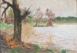 Michał Gorstkin Wywiórski (1861 Warszawa - 1926 Warszawa), Drzewa nad wodą