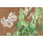 Tadeusz Styka (1889 Kielce - 1954 New York), Biele kvety