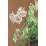 Tadeusz Styka (1889 Kielce - 1954 New York), White flowers