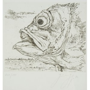 Günter Grass (1927 Danzig-2015 Lübeck), Fischekopf, 1973