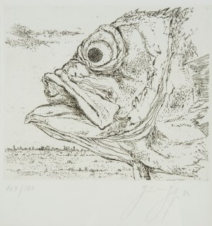 Günter Grass (1927 Gdańsk-2015 Lubeka), Fischekopf, 1973