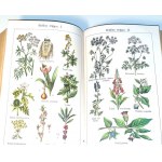 BILZ- NEW NATURAL MEDICINE full-color figures, fold-out tables BINDING.