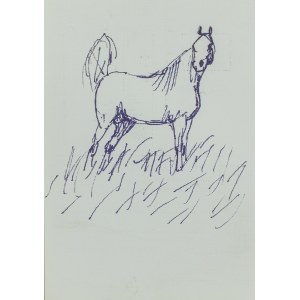 Ludwik MACIĄG (1920-2007), Horse in the Meadow