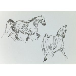 Ludwik MACIĄG (1920-2007), Sketch of horses