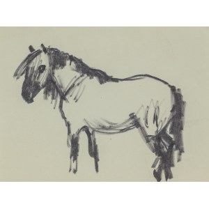 Ludwik MACIĄG (1920-2007), Sketch of a horse