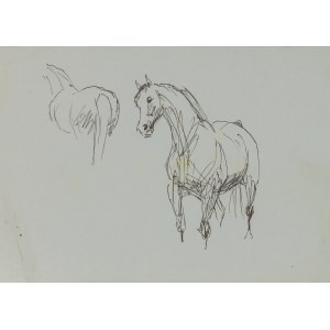 Ludwik MACIĄG (1920-2007), Sketch of a horse and horse's rump